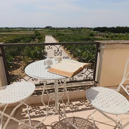 In Bb - Superior Double Clementino Carmiano (Apulia)